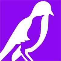THE MOCKINGBIRD SOCIETY