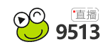 9513.com