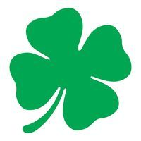Shamrock Community Hospital, Inc.