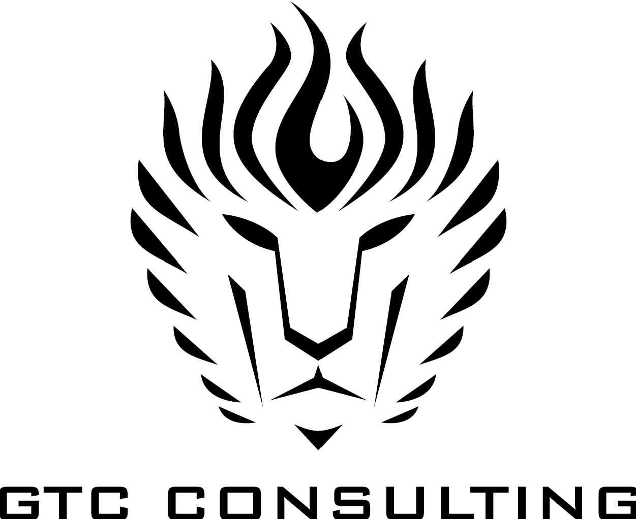 GTC Consulting