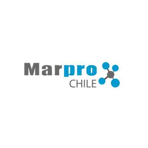 Marpro Chile S A
