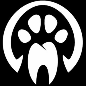 ANIDOS - Animal Dentistry & Oral Surgery