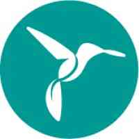 hummingbirds