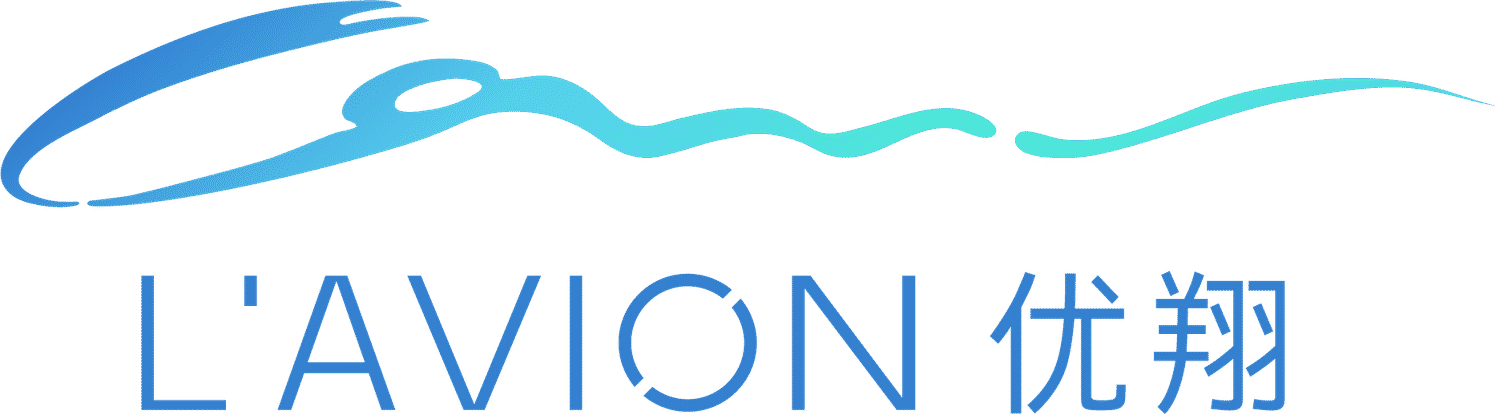 L'AVION