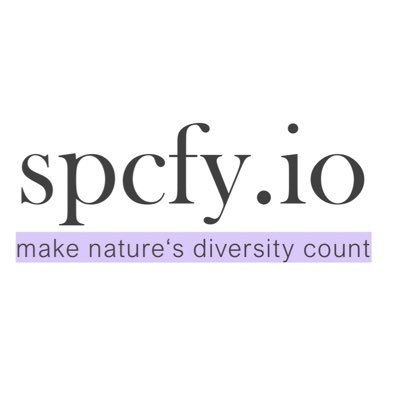 spcfy GmbH