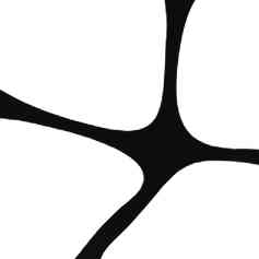 The Biological Computing