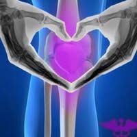 Northeast Knee & Joint Institute LLC.