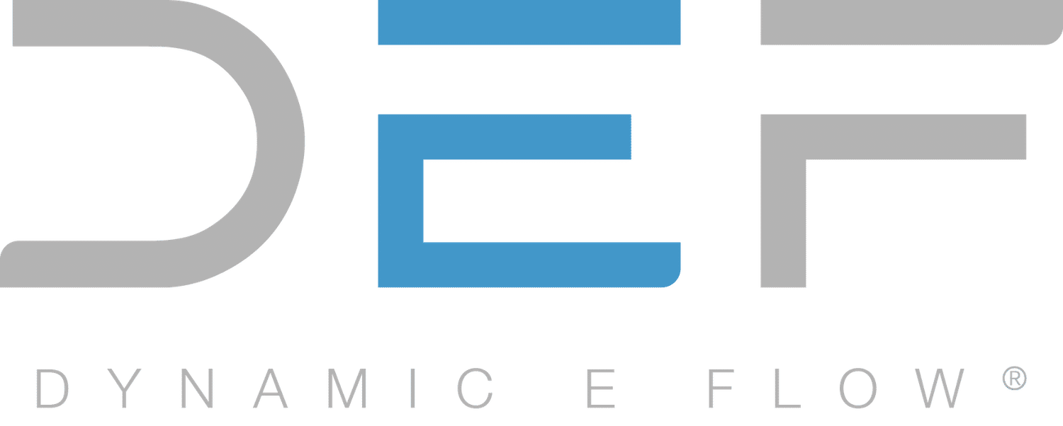 dynamic E flow GmbH