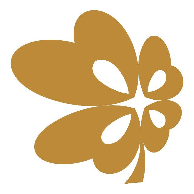 AEGEAN COMMERCIAL GROUP