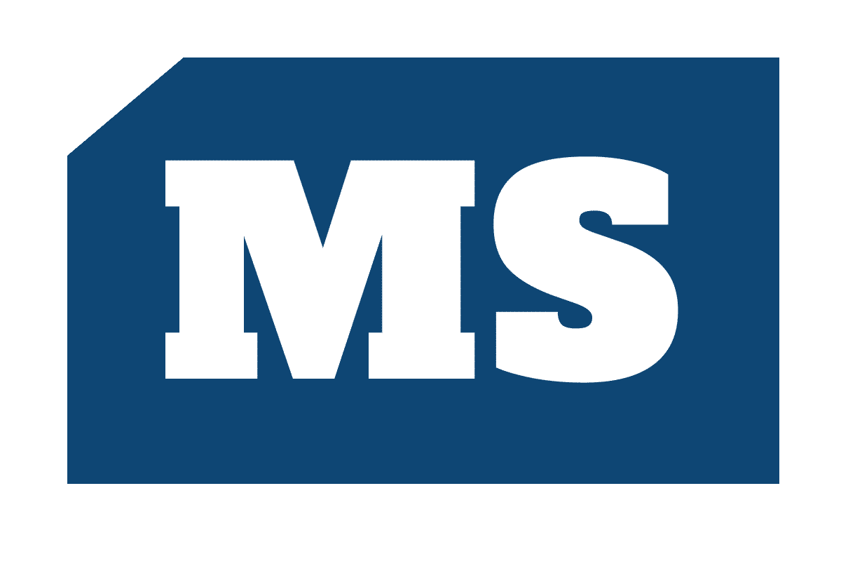 Monetization Solutions, Inc.