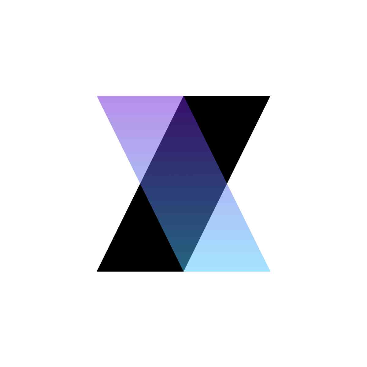 Xelari Inc.