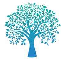Prunus Pharma Ltd.