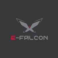 Chong Falcon Technology