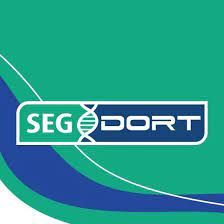 Segdort Servicos De Medicina Do Trabalho Ltda.