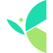 Chrysoli Consulting