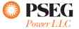 PSEG Power