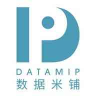 DataMip
