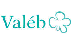 Valéb
