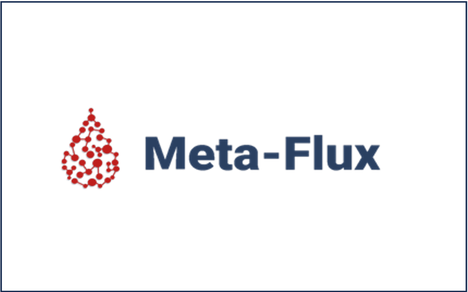 Meta-Flux