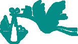 Gulfcoast Institute of OB/GYN LLC