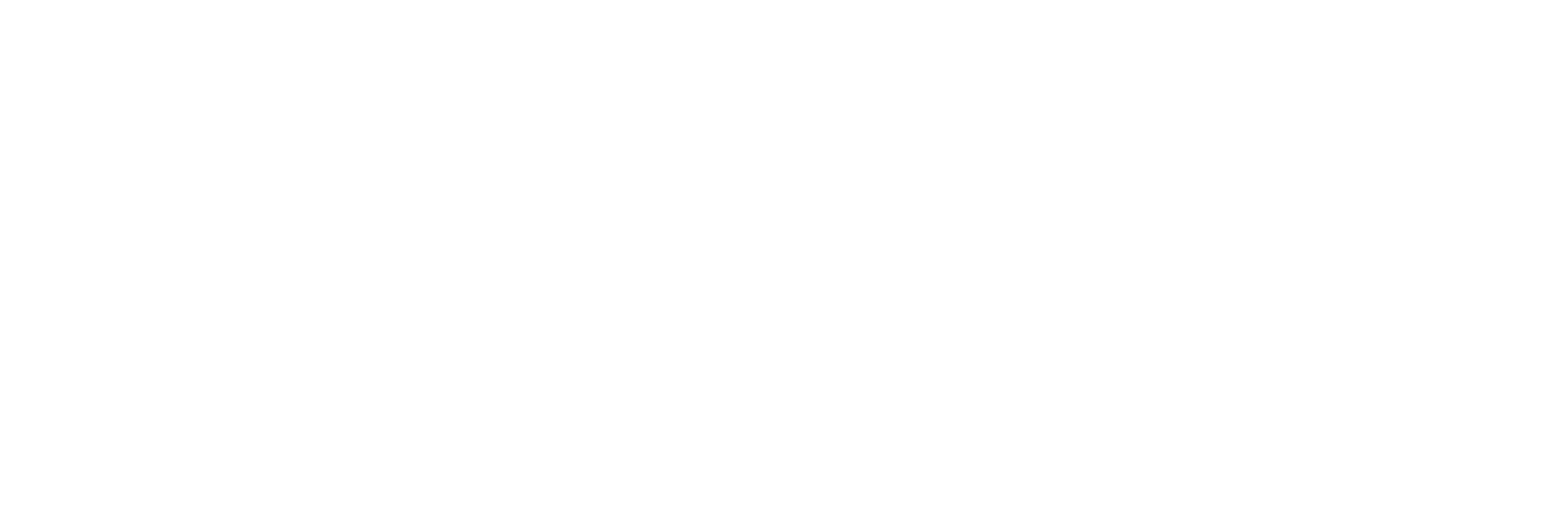 Rollo Robotics