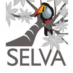 Selva