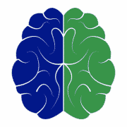 International Institute for Brain Enhancement