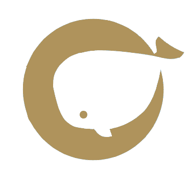 CAiGiN Global