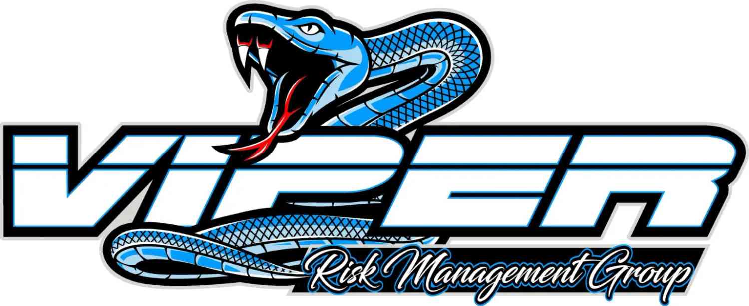 Viper Risk Management Group