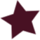 STELLAR TRANSPORT INC.