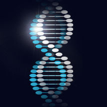 Komo Biosciences, Inc.