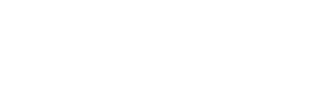 Ningbo Shanshan