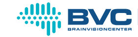BrainVisionCenter