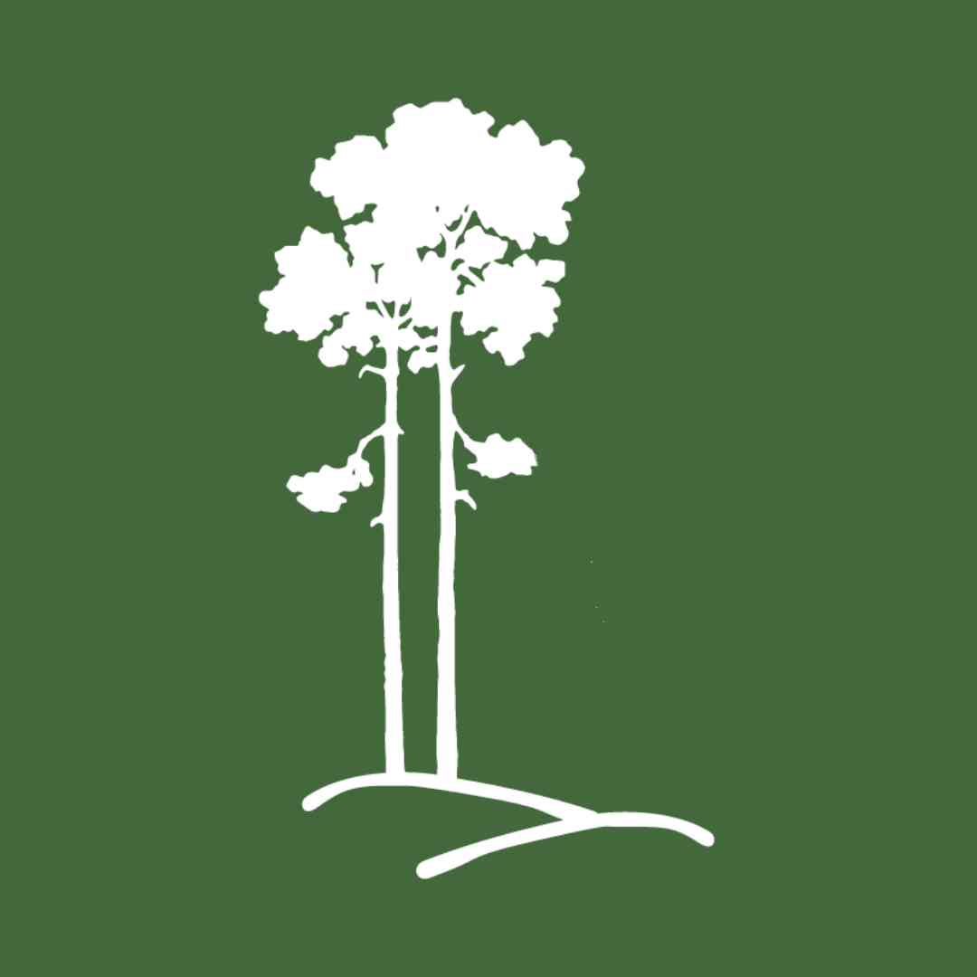Tall Timbers