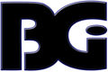 The Baldwin Group Inc