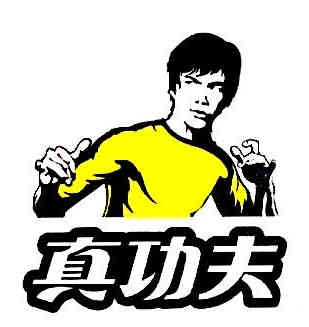 Zhen Gongfu