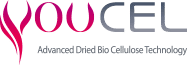 YOUCEL, Inc.