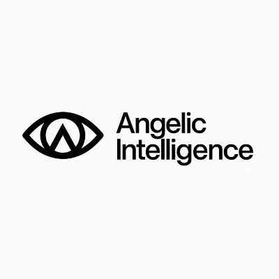 Angelic Intelligence