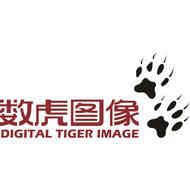 Digital Tiger Image
