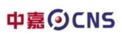 China Network Systems