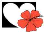 MAUI CARDIOLOGY, LTD.