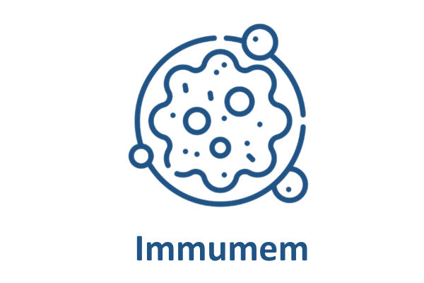 Immumem Therapeutics Corp.