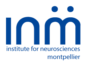 The Institute For Neurosciences of Montpellier