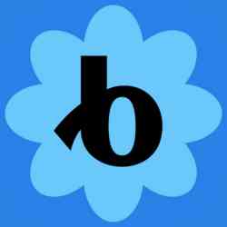 Bloomerang Fundraising
