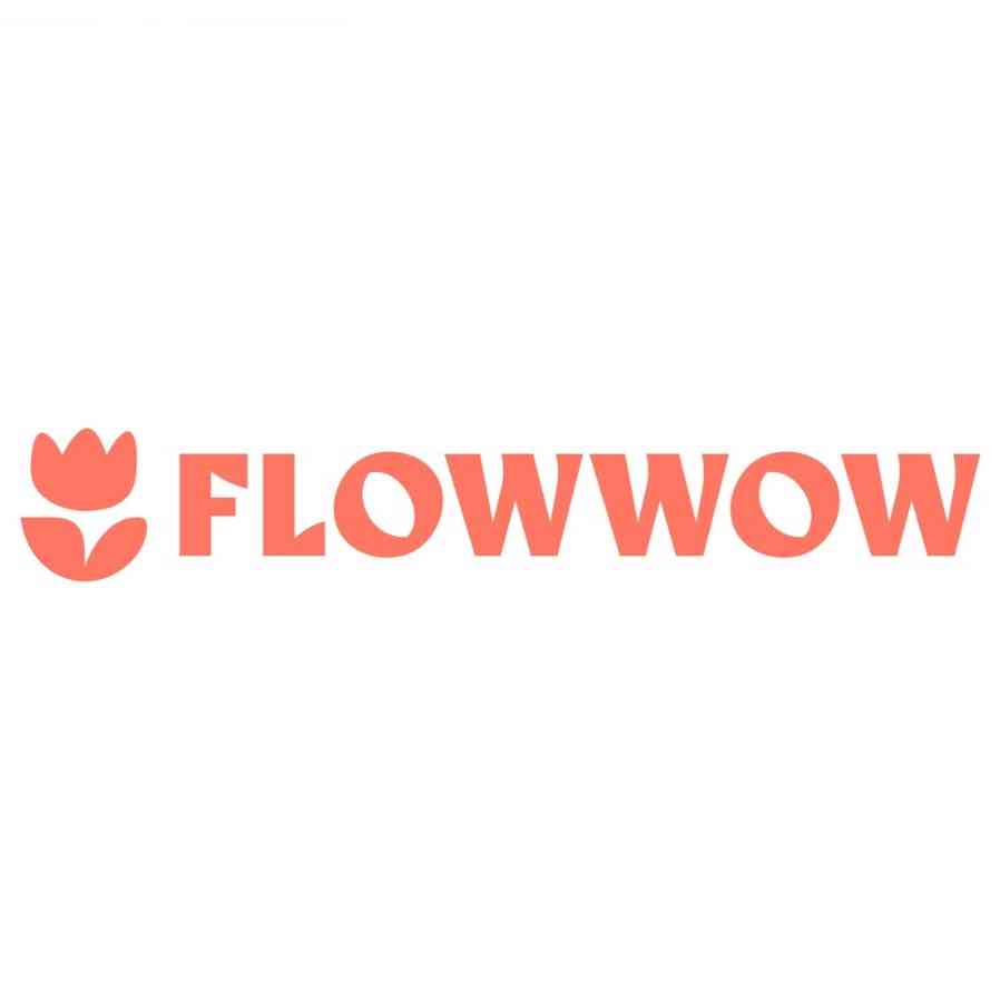 Flowwow logo