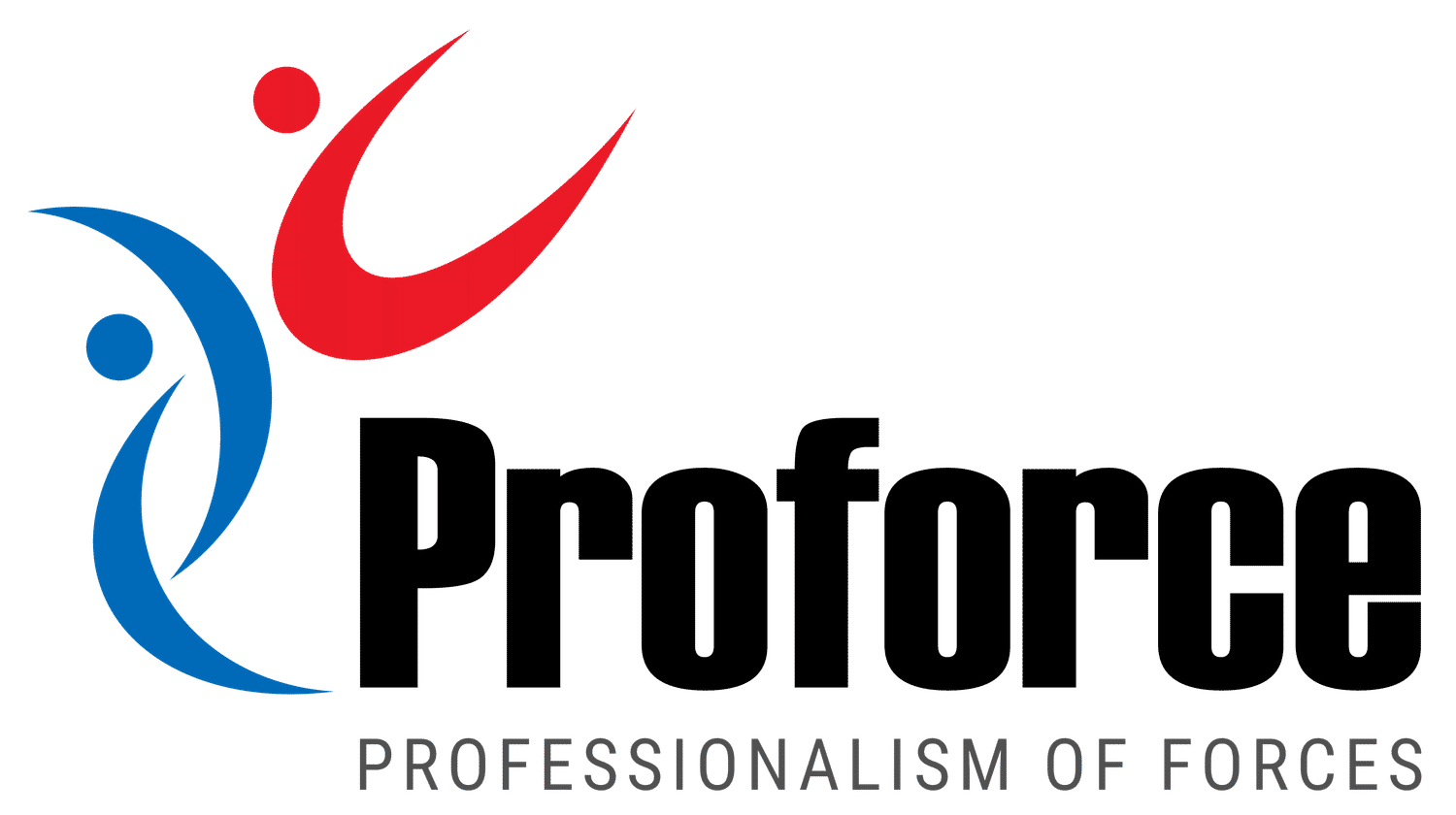 Proforce Professional Services Pvt Ltd