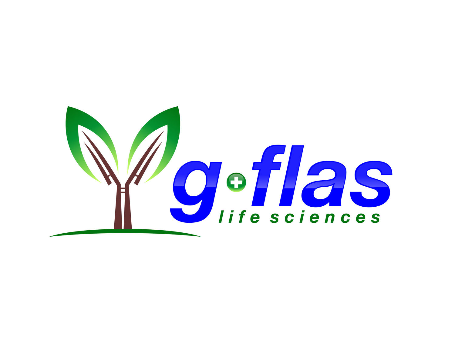 G+Flas Life Sciences Co., Ltd.