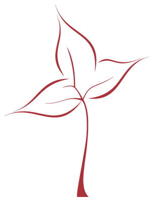 Alyeska Center for Facial Plastic Surgery & ENT