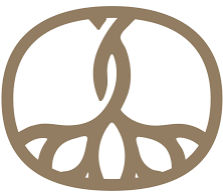 MELSTROM DENTAL PLLC