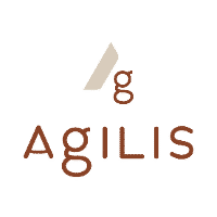 Agilis Partners